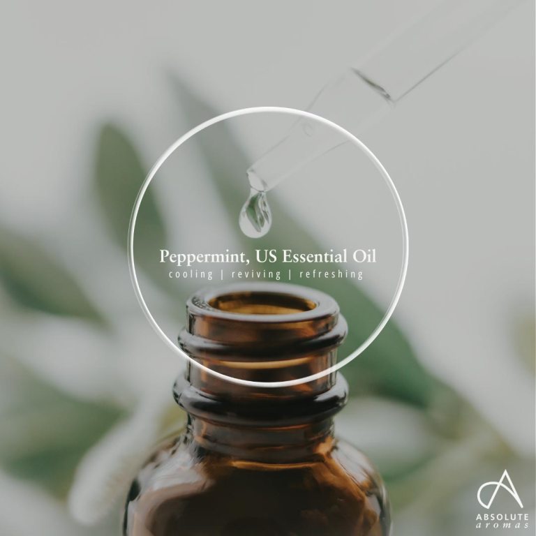 Absolute Aromas Peppermint (US) Essential Oil