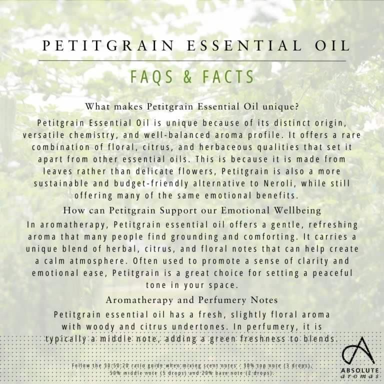 Absolute Aromas Petitgrain Essential Oil