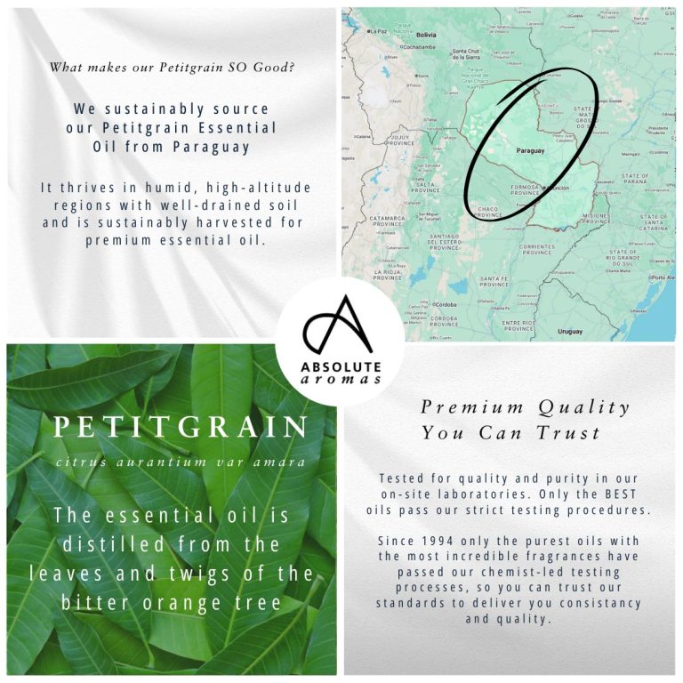 Absolute Aromas Petitgrain Essential Oil