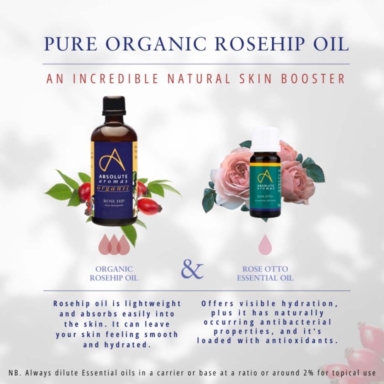 Absolute Aromas Organic Rosehip