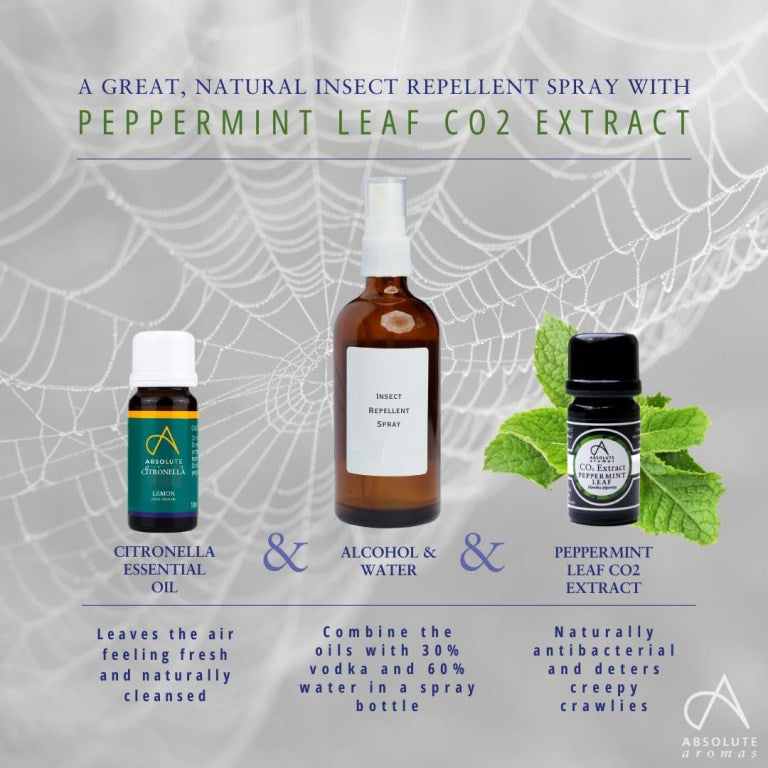 Absolute Aromas Peppermint Leaf CO2 Extract