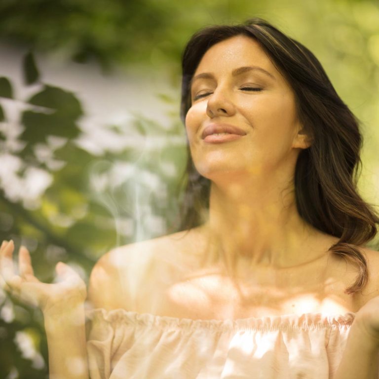 Absolute Aromas May Chang Essential Oil