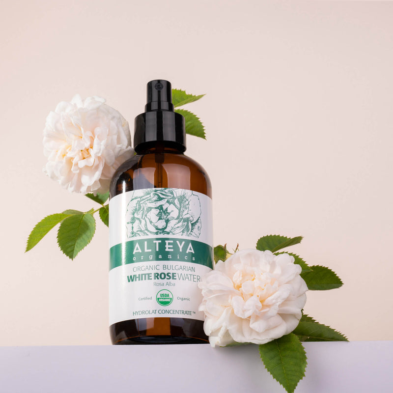 Alteya Organics Organic Bulgarian White Rose Water (Rosa Alba) 240 ml - Amber Glass Spray Bottle