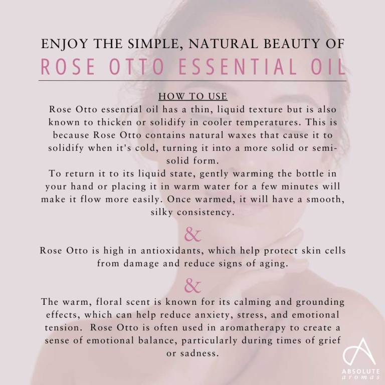 Absolute Aromas Rose Otto Essential Oil