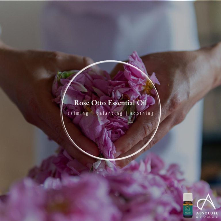 Absolute Aromas Rose Otto Essential Oil