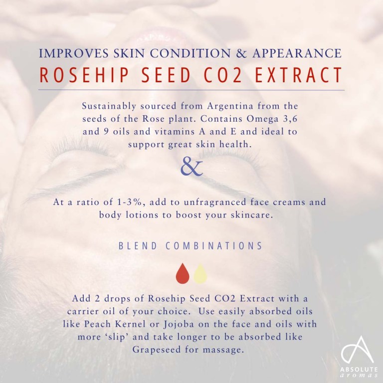 Absolute Aromas Rosehip Seed CO2 Extract