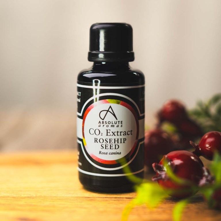 Absolute Extracts Absolute Aromas Rosehip Seed CO2 Extract – Health & More Ltd