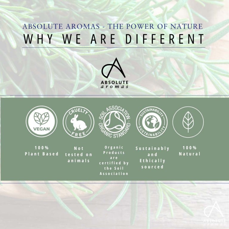 Absolute Aromas Rosemary Treatment Oil