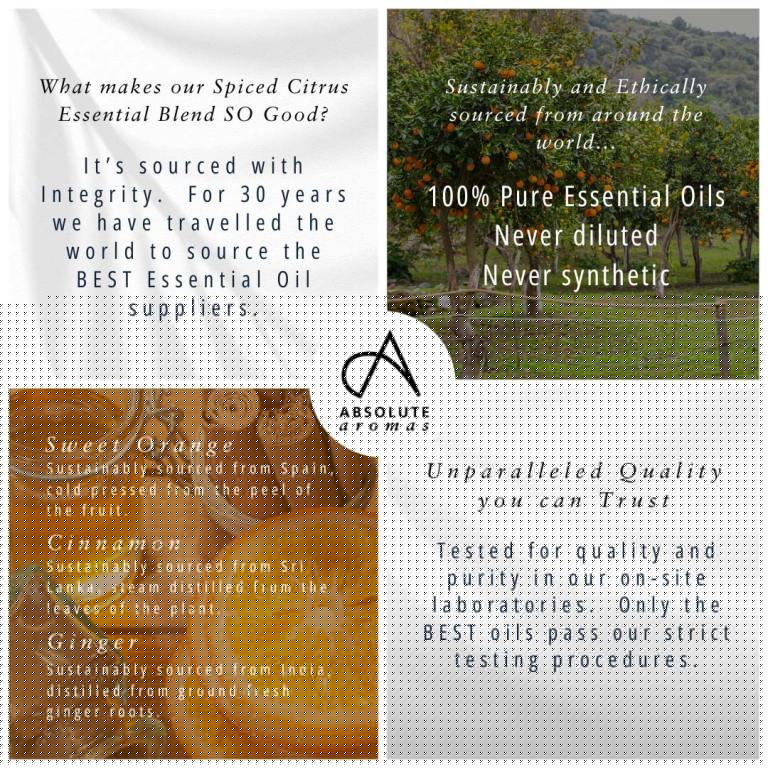 Absolute Aromas Spiced Citrus Aromatherapy Blend