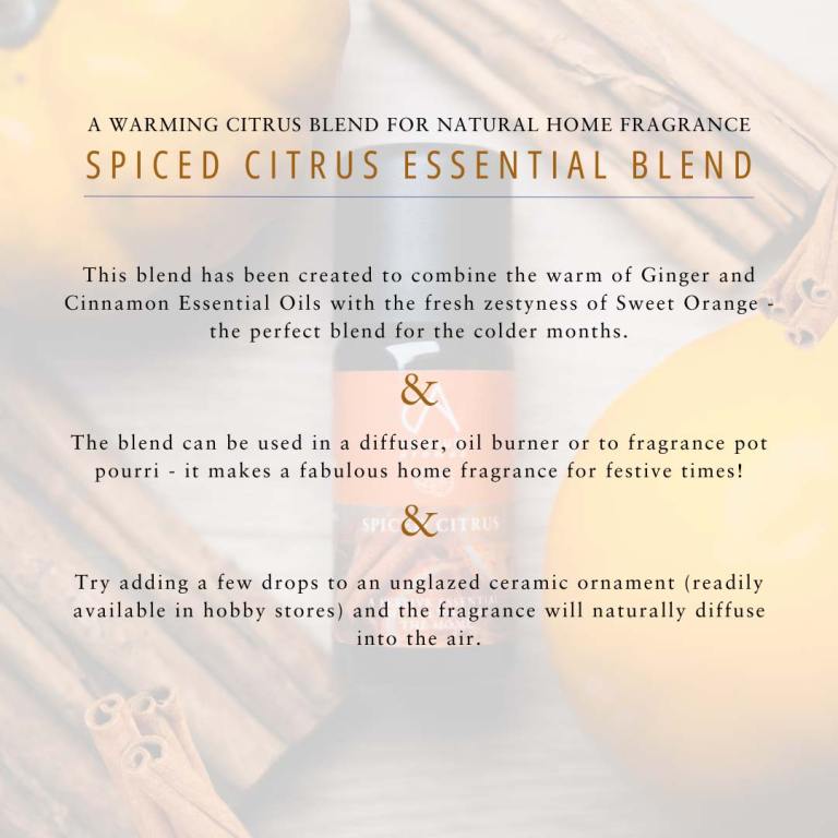 Absolute Aromas Spiced Citrus Aromatherapy Blend