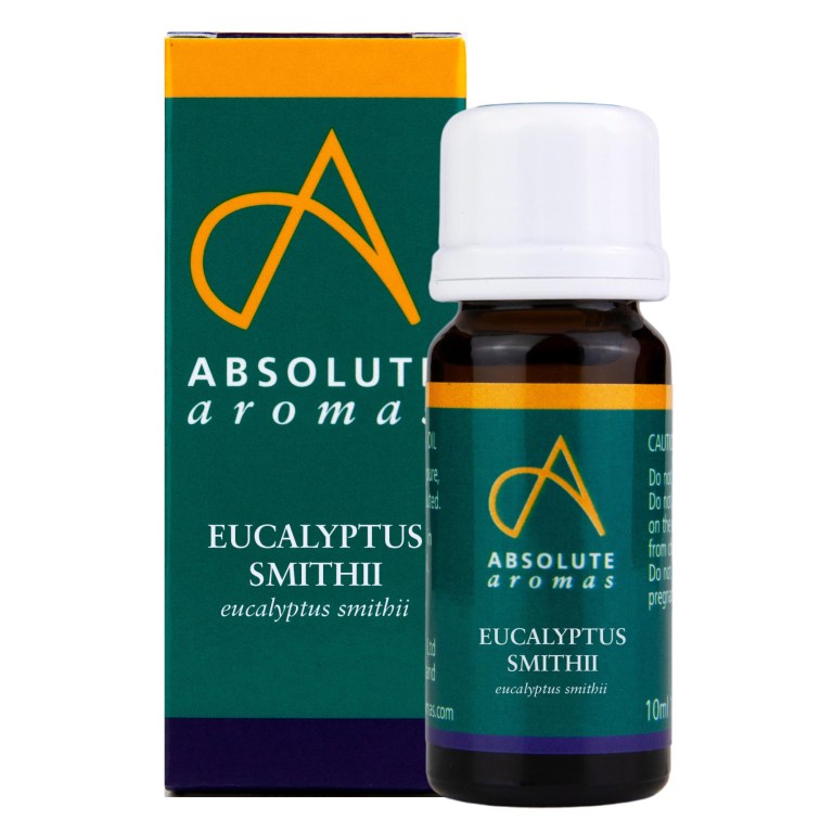 Absolute Aromas Eucalyptus Smithii Essential Oil