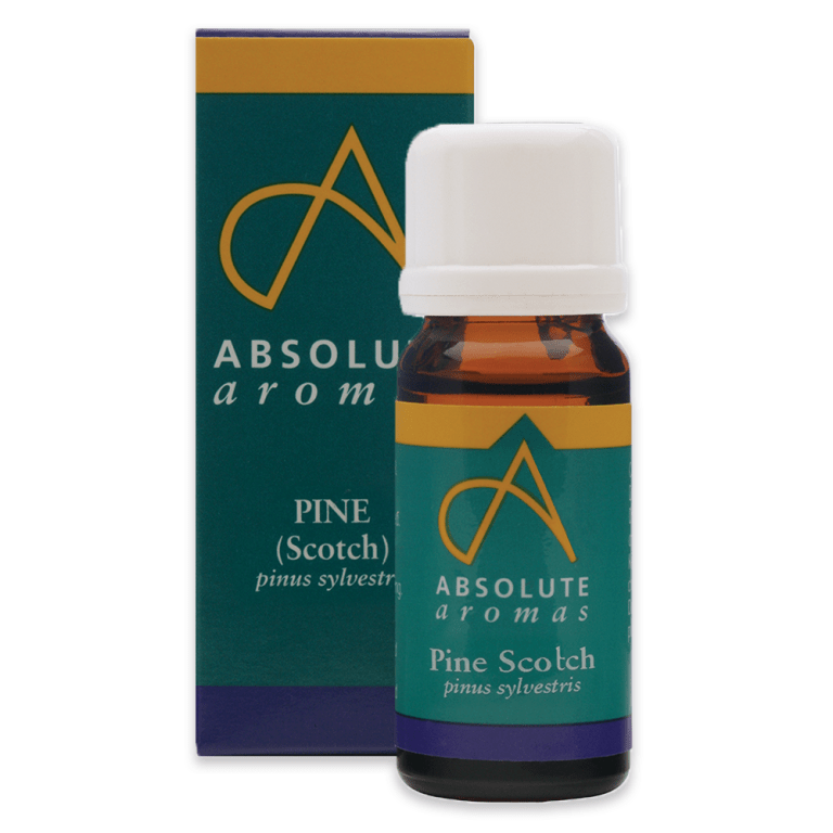 Absolute Aromas Pine Essential Oil (Scotch)