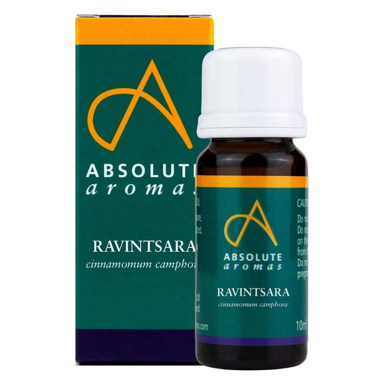 Absolute Aromas Ravintsara (Ravensara)