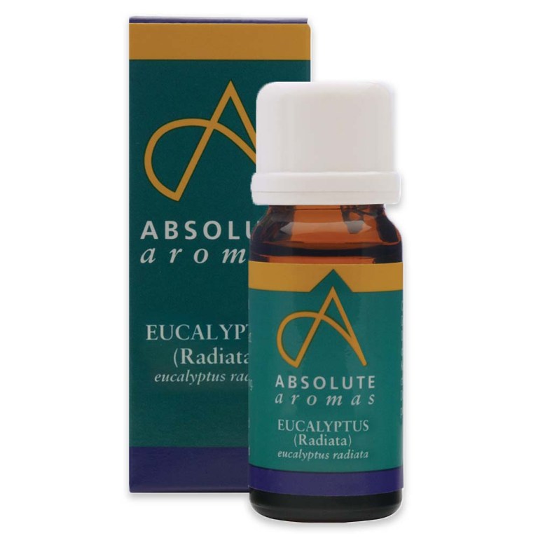 Absolute Aromas Eucalyptus Radiata Essential Oil