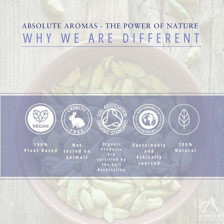 Absolute Aromas Cardamom CO2 Extract