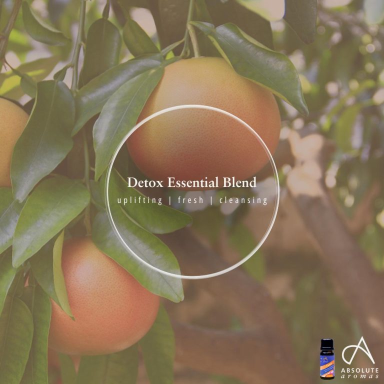 Absolute Aromas Detox Essential Blend