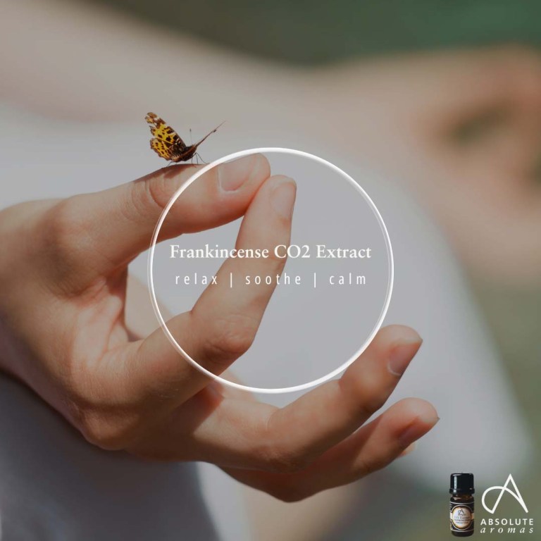 Absolute Aromas Frankincense CO2 Extract