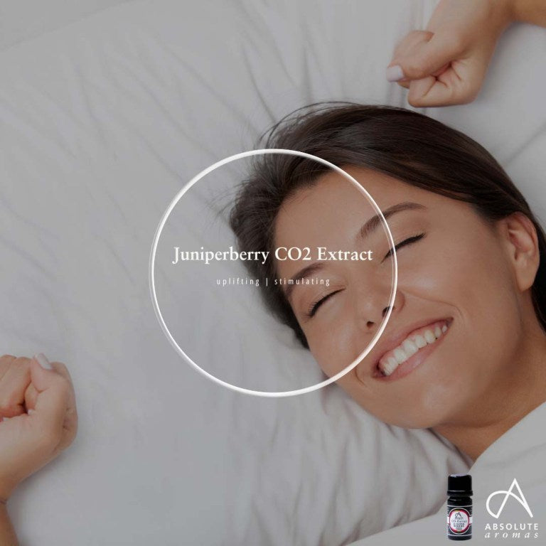 Absolute Aromas Juniperberry CO2 Extract