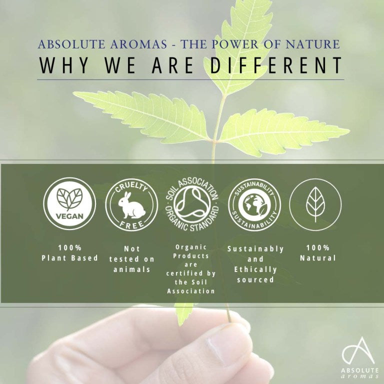 Absolute Aromas Organic Nail & Cuticle Oil