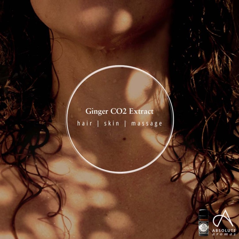 Absolute Aromas Ginger CO2 Extract