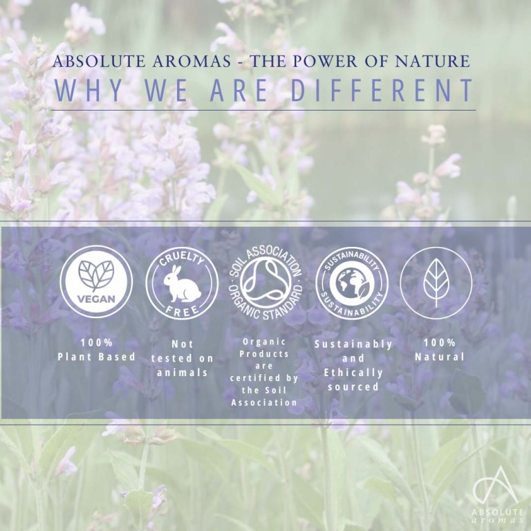 Absolute Aromas Sage CO2 Extract