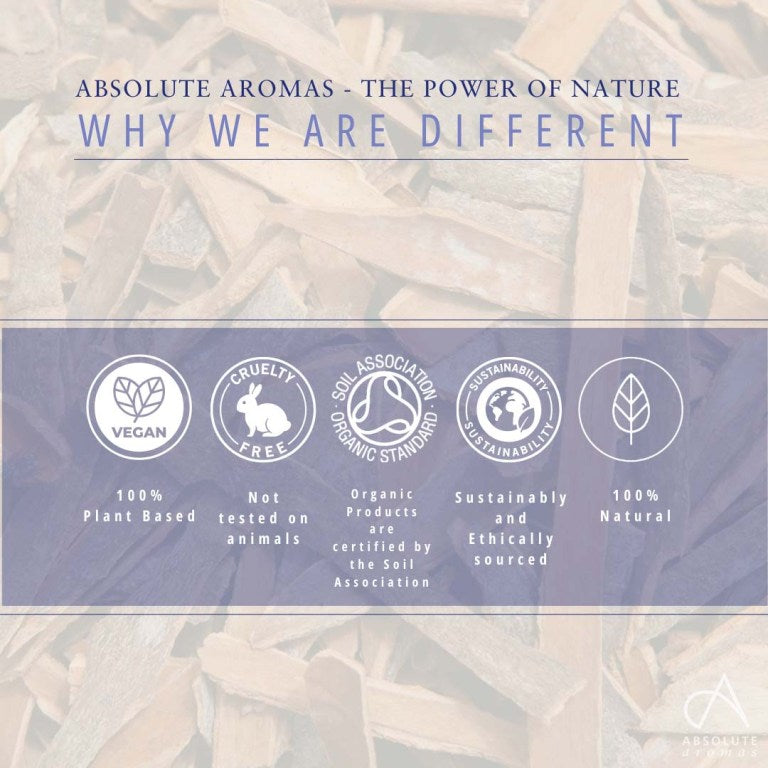 Absolute Aromas Cinnamon Bark Co2 Extract
