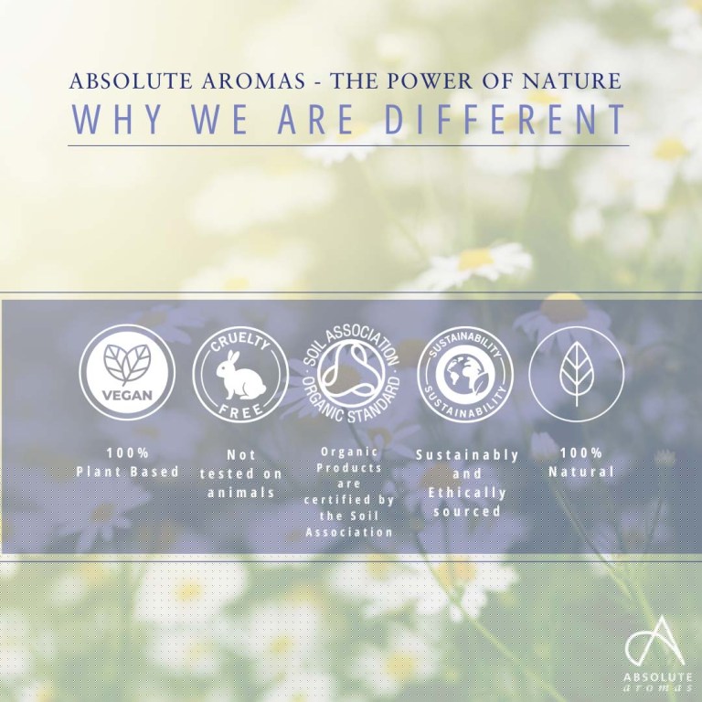 Absolute Aromas Chamomile Flower CO2 Extract