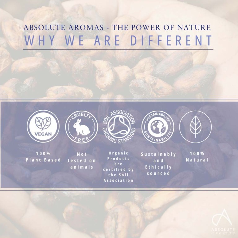 Absolute Aromas Cocoa CO2 Extract