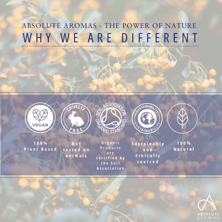 Absolute Aromas Sea Buckthorn CO2 Extract