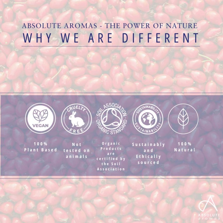 Absolute Aromas Rosehip Seed CO2 Extract