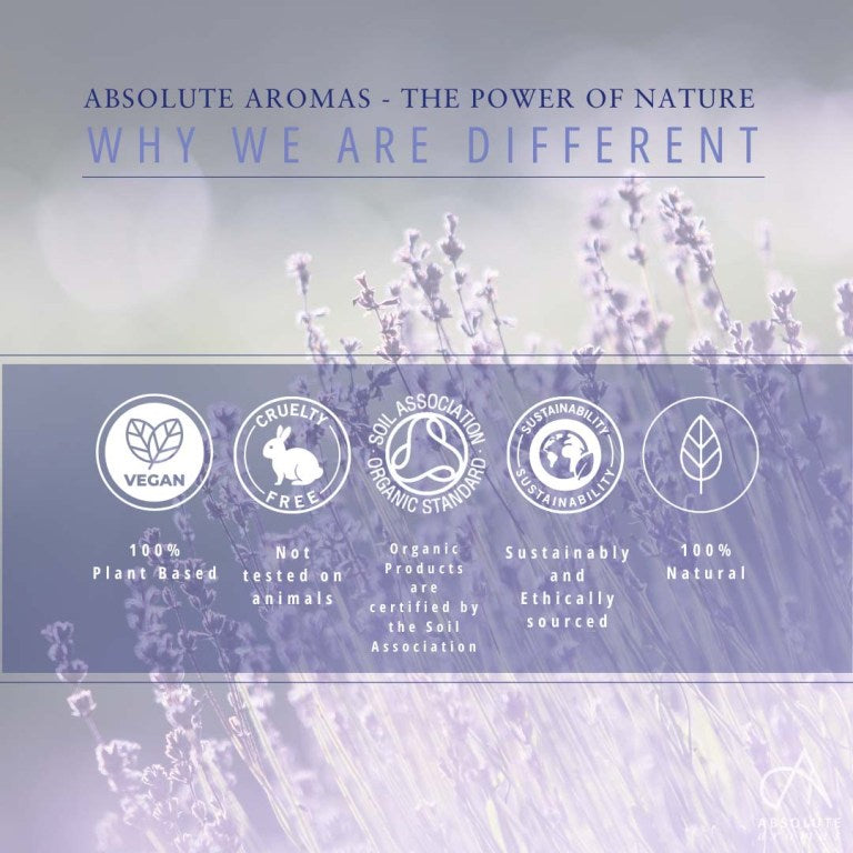 Absolute Aromas Lavender CO2 Extract