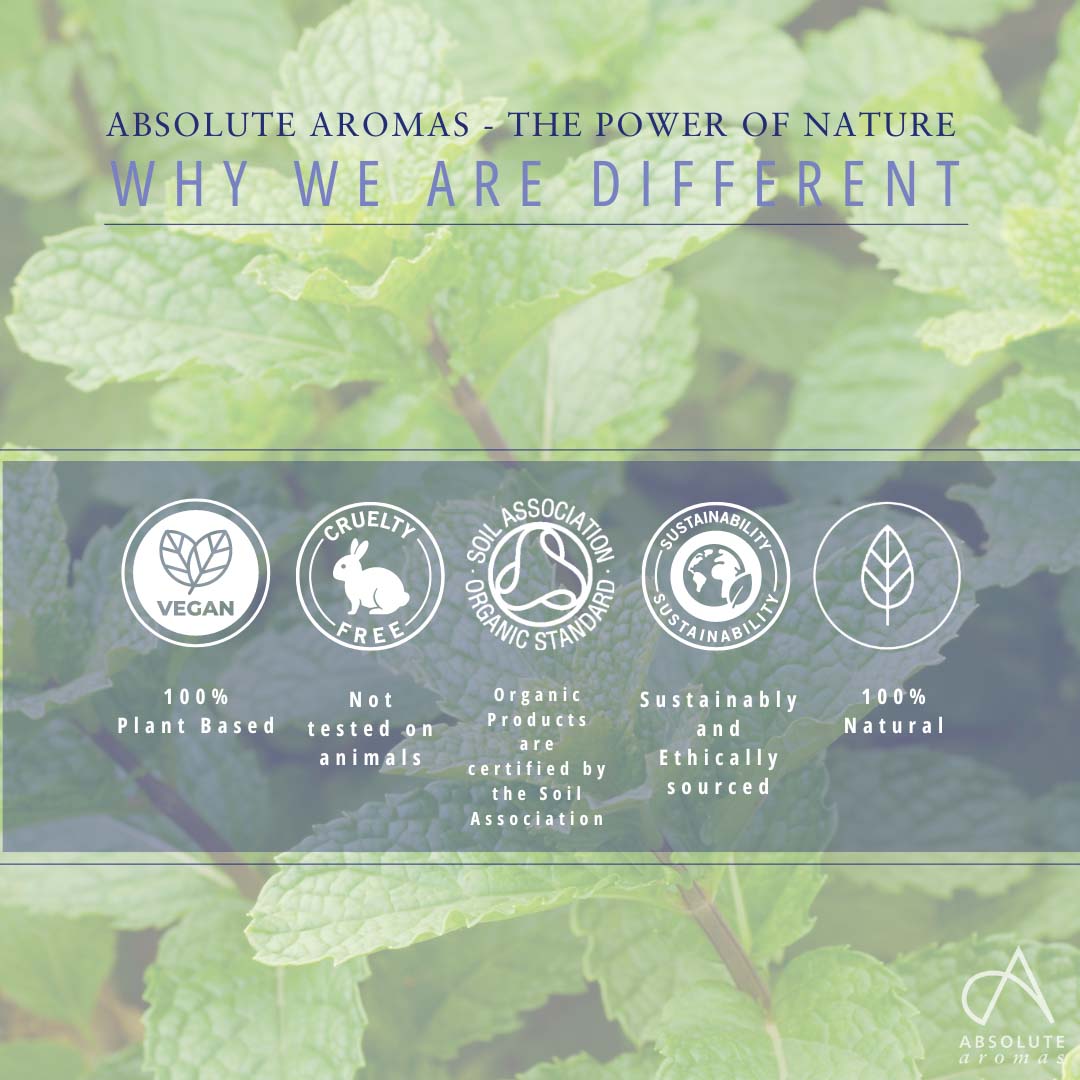 Absolute Aromas Peppermint Leaf CO2 Extract