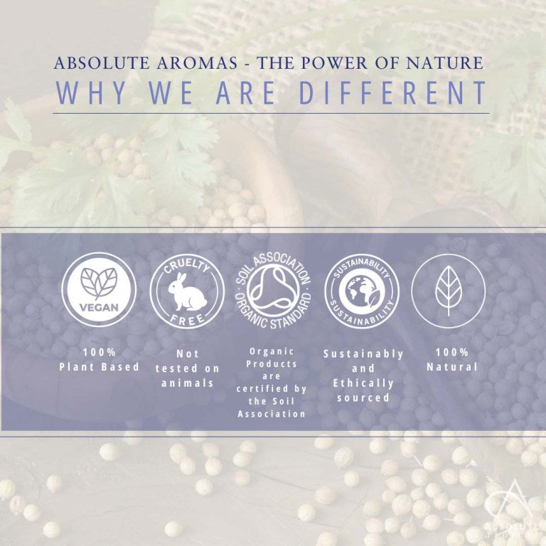 Absolute Aromas Coriander CO2 Extract