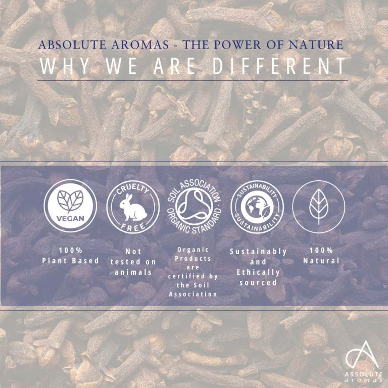 Absolute Aromas Clove Bud CO2 Extract