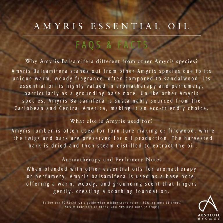 Absolute Aromas Amyris Essential Oil