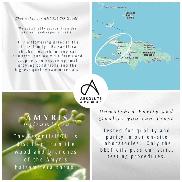 Absolute Aromas Amyris Essential Oil