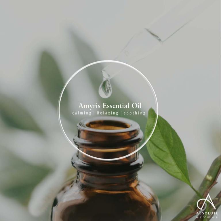 Absolute Aromas Amyris Essential Oil