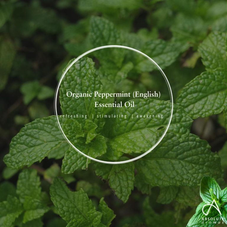 Absolute Aromas Organic Peppermint Essential Oil (English)