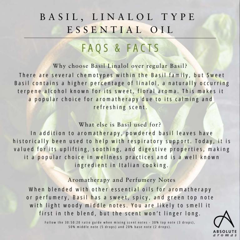 Absolute Aromas Basil, Linalol Type Essential Oil