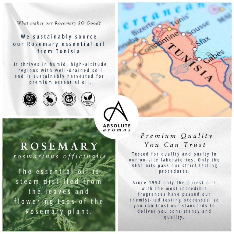 Absolute Aromas Rosemary Essential Oil