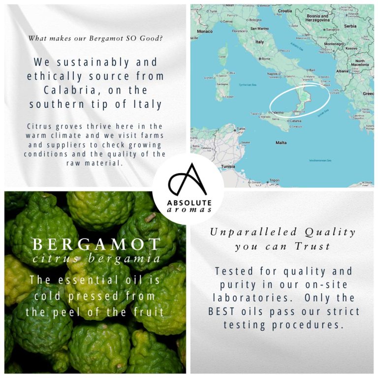 Absolute Aromas Bergamot Essential Oil