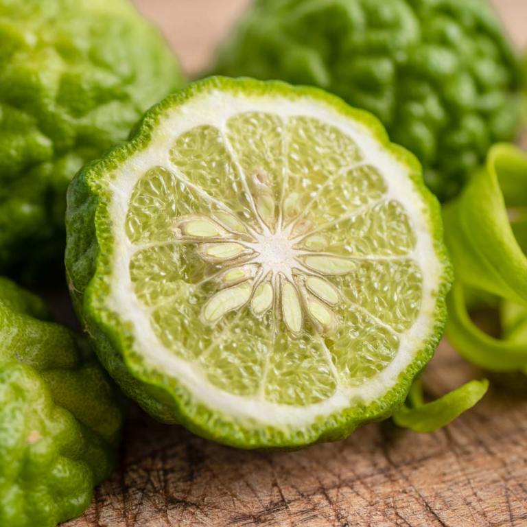 Absolute Aromas Bergamot Essential Oil