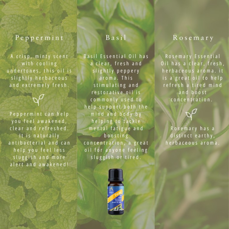 Absolute Aromas Focus Essential Blend