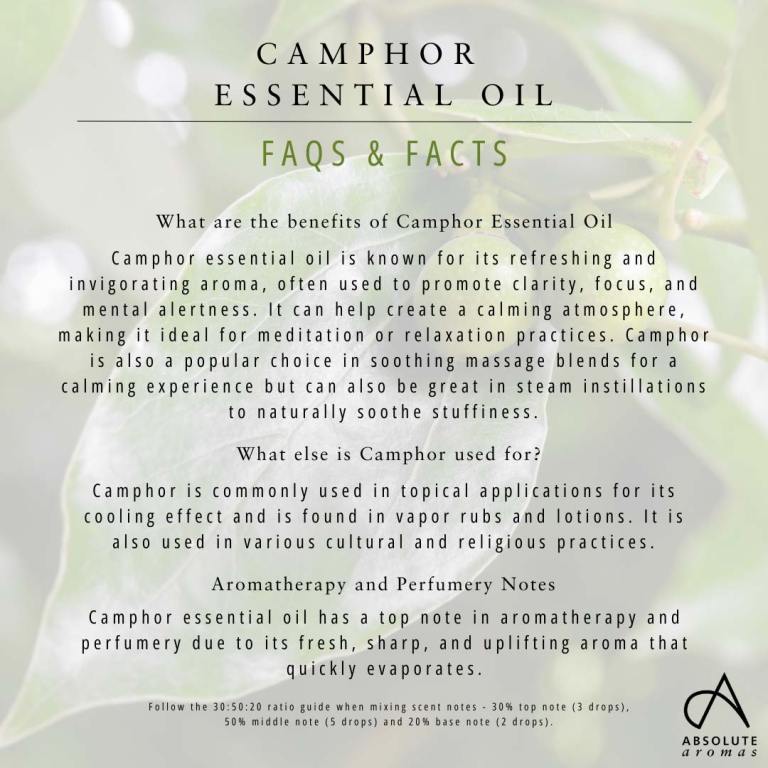 Absolute Aromas Camphor Essential Oil