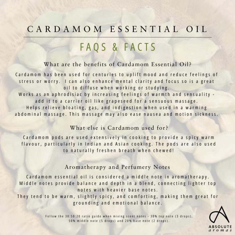Absolute Aromas Cardamom Essential Oil