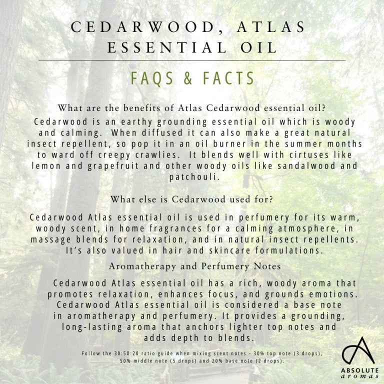 Absolute Aromas Cedarwood, Atlas Essential Oil