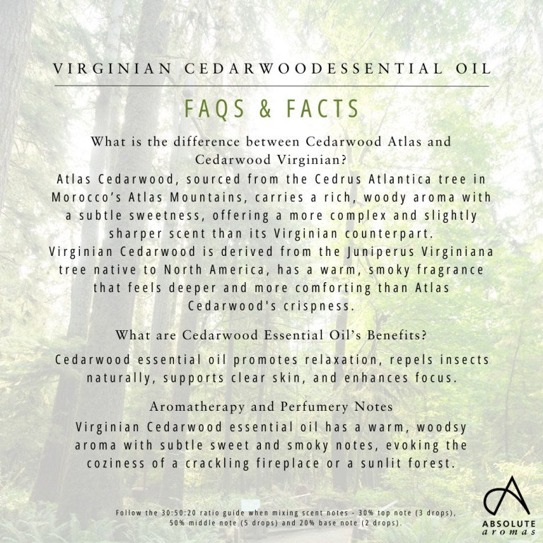 Absolute Aromas Cedarwood, Virginian Essential Oil