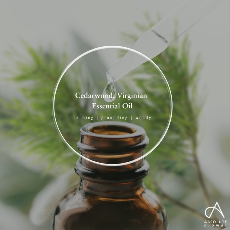 Absolute Aromas Cedarwood, Virginian Essential Oil