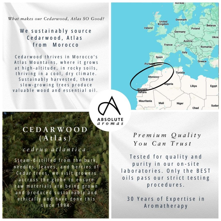 Absolute Aromas Cedarwood, Atlas Essential Oil