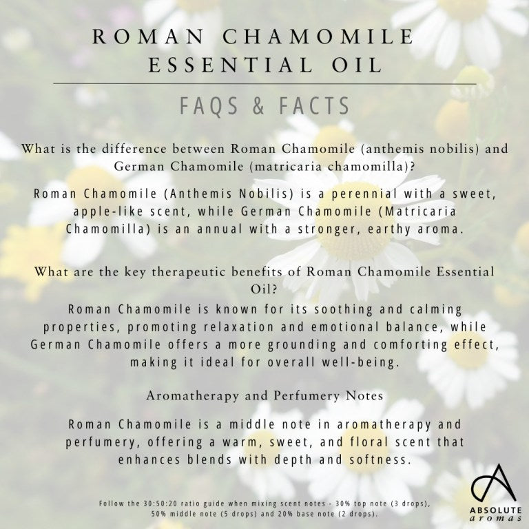 Absolute Aromas Chamomile Essential Oil (Roman)